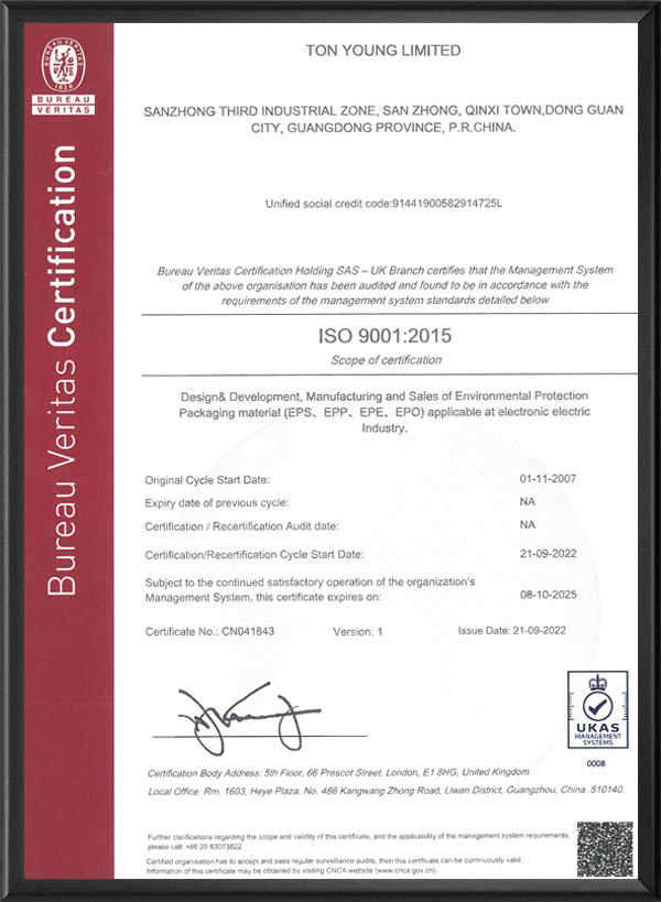 英文ISO 9001